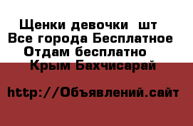 Щенки девочки 4шт - Все города Бесплатное » Отдам бесплатно   . Крым,Бахчисарай